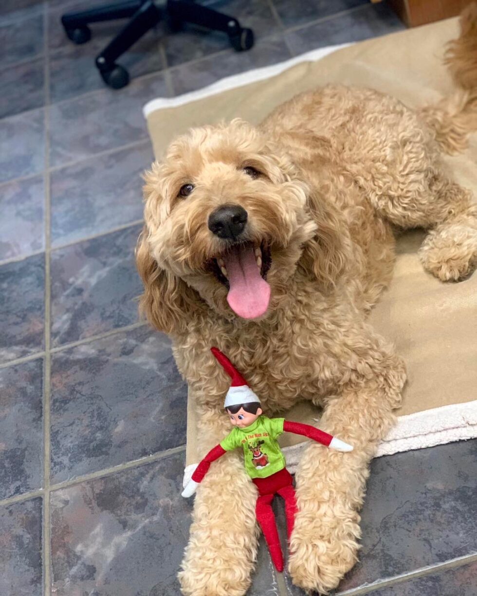 Eastside Veterinary Hospital Gallery Vet Clinic In Collinsville, OK 74021